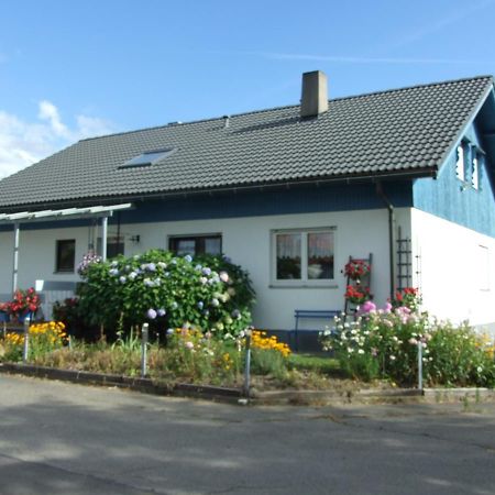 Ferienwohnung Haus Edeltraud Im Suedschwarzwald, Grosse, Helle, Ruhige Souterrain-Whg, Hunde Geeignet, Mit 2 Fahrraedern, 3 Baeckereien Mit Fruehstueck, 2 Lebensmittel-, 1 Italien-Pastalaeden, Kontakt Peter Heubueschl Aus Loerrach Rheinfelden  Zewnętrze zdjęcie