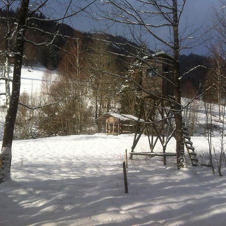 Ferienwohnung Haus Edeltraud Im Suedschwarzwald, Grosse, Helle, Ruhige Souterrain-Whg, Hunde Geeignet, Mit 2 Fahrraedern, 3 Baeckereien Mit Fruehstueck, 2 Lebensmittel-, 1 Italien-Pastalaeden, Kontakt Peter Heubueschl Aus Loerrach Rheinfelden  Zewnętrze zdjęcie