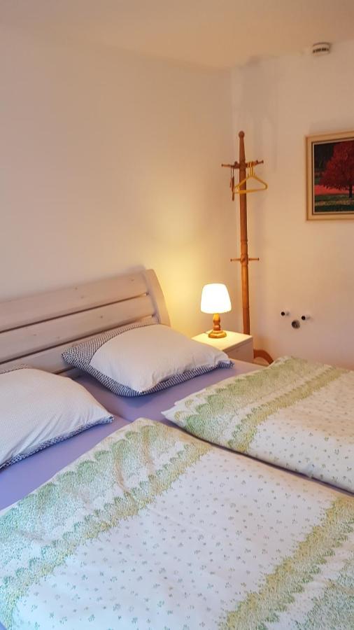 Ferienwohnung Haus Edeltraud Im Suedschwarzwald, Grosse, Helle, Ruhige Souterrain-Whg, Hunde Geeignet, Mit 2 Fahrraedern, 3 Baeckereien Mit Fruehstueck, 2 Lebensmittel-, 1 Italien-Pastalaeden, Kontakt Peter Heubueschl Aus Loerrach Rheinfelden  Zewnętrze zdjęcie